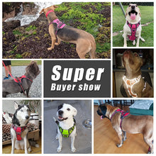 Lade das Bild in den Galerie-Viewer, Hunde Sicherheitsgurt