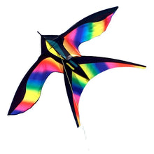 Lade das Bild in den Galerie-Viewer, Regenbogen Vogel Drachen Outdoor Spass Sport
